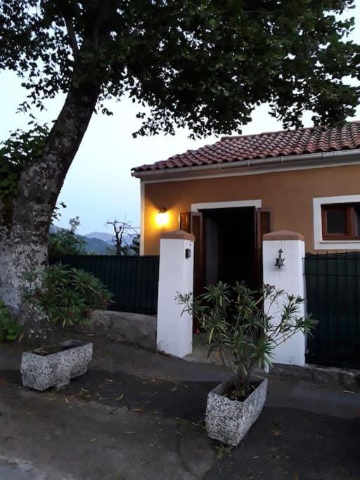 Petit Coin De Paradis Evisa Exterior foto